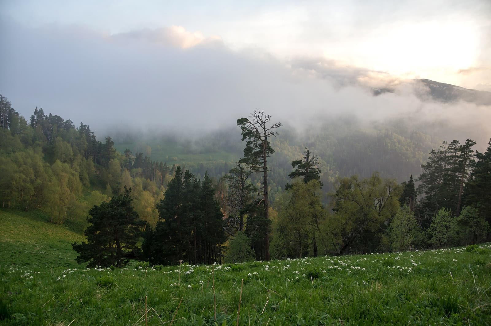 Southern spurs of Acheshbok at sunset