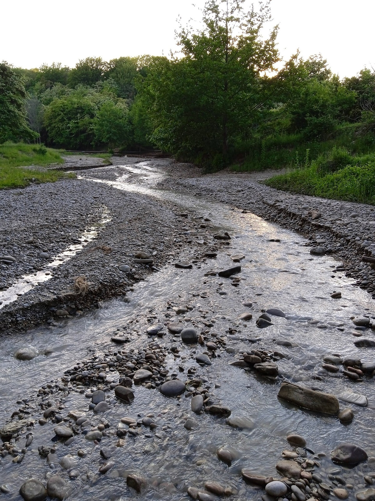 The banks of the Taling stream