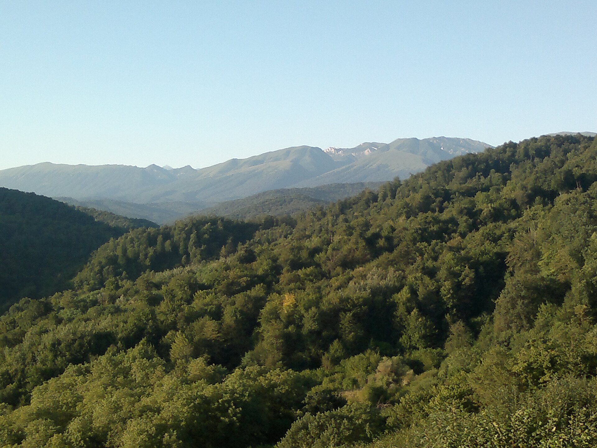 The highland surroundings of Urus-Martan District